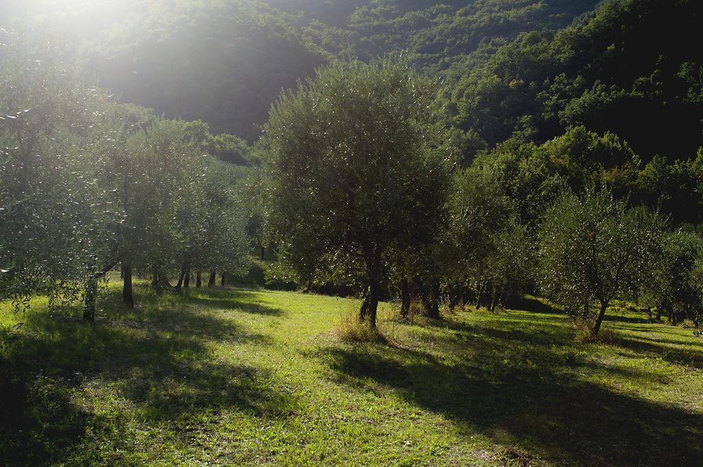 Country Room Il Moro Rignano Sull Arno Ngoại thất bức ảnh