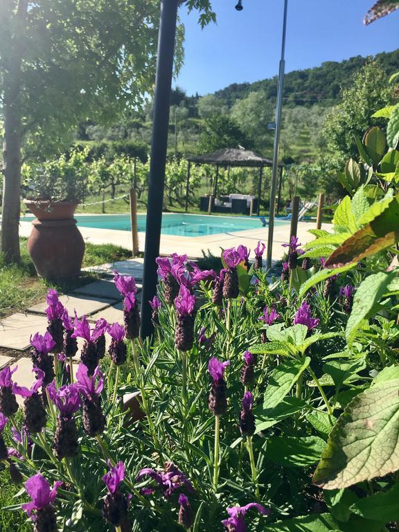 Country Room Il Moro Rignano Sull Arno Ngoại thất bức ảnh